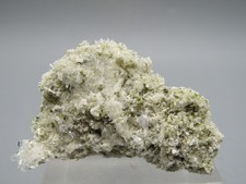 Nifontovit Charkas San Luis