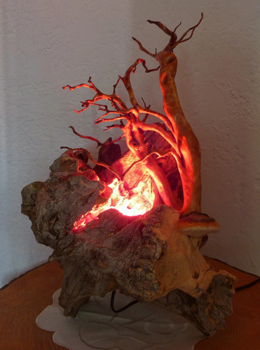 Wurzelskulptur tischlampe aus - ,