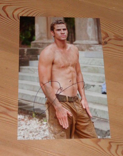 Sexy tribute von panem liam - tribute,