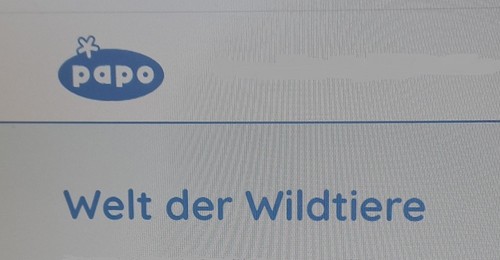 Papo wildtiere gepard puma - papo,