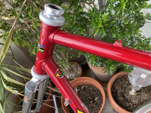 Ciöcc designer rennrad - 84,