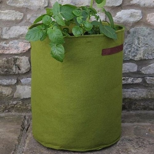 Vigoroot tomaten kartoffel - vigoroot,