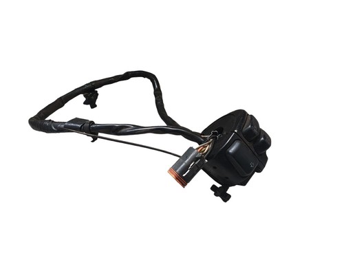 Harley davidson road king - road,