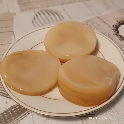 Kombucha scoby 50g - kombucha, +