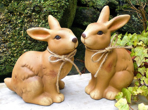 Kaninchen paar hasen - ❀,