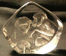 MATS JONASSON 33744 SCHIMPANSEN ohne OVP