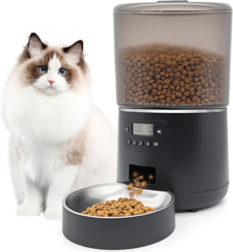 Futterautomat katze mit - katze, timer