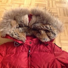 Parajumper Long Bear S