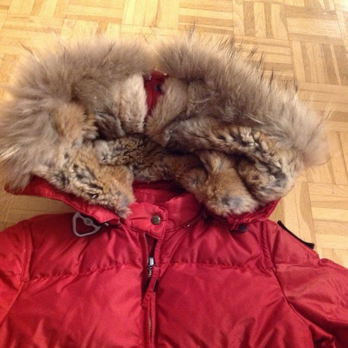 Parajumper long bear - parajumper, s