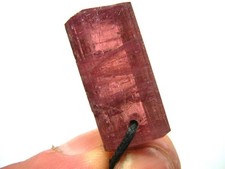 Erstklassiger, roter TURMALIN