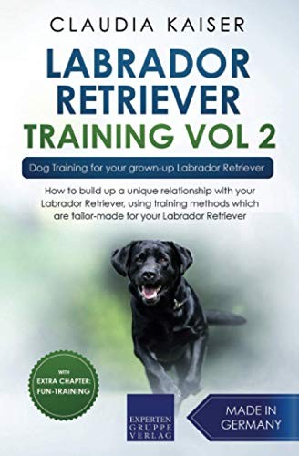 Labrador retriever training - retriever,