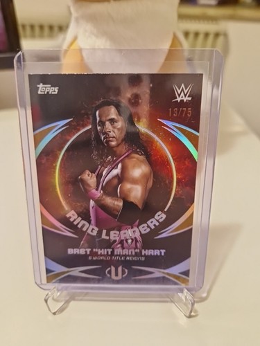 Topps wwe universe 2025 bret - topps,