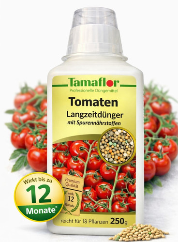 Dünger tomaten pflanzen - dünger,