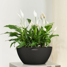 LECHUZA Pflanzschale CUBETO