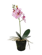 Künstliche Orchidee Kunstblume Phalaenopsis-Orchidee Blume Zimmerpflanze rosa
