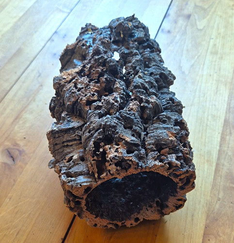 Korkröhre aus korkrinde - korkröhre,