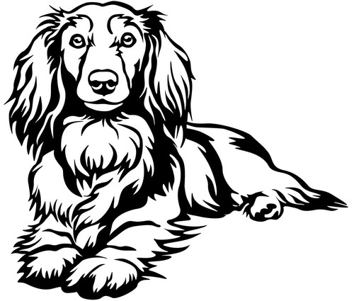 Dackel teckel aufkleber - teckel,