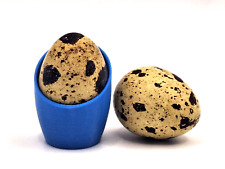 Eierbecher für Wachteleier blau 3D Druck Egg Cup Quail Wachtelei