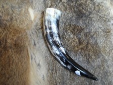 Trinkhorn 0,1 - 0,19l / 100 -