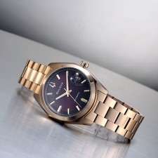 Bulova Surveyor Automatik