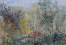 Im Park Waldklinik Schömberg