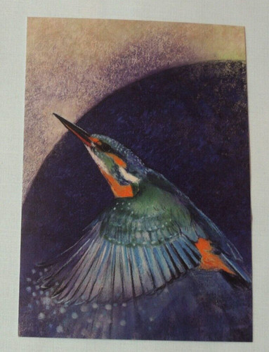 Postkarten eisvogel loes - 1x,