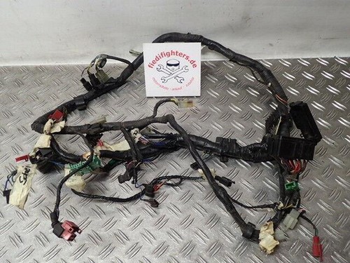 Hauptkabelbaum kabelbaum kabel - hauptkabelbaum,