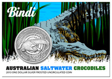 Saltwater crocodile - 1,