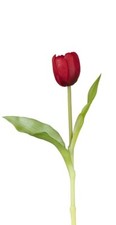 Tulpe 30cm set stück - tulpe, 5