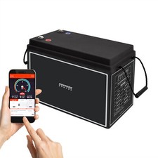 12V 150Ah LiFePO4 Akku BMS +