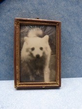 Kleiner alter Bilderrahmen