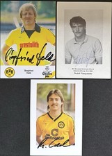 BVB Borussia Dortmund