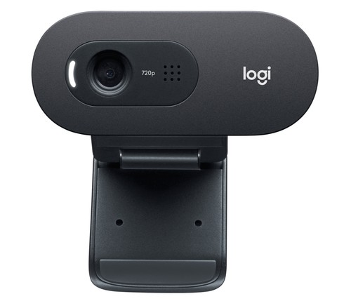 Logitech c505e webcam - logitech, hd