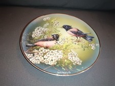 Rosenthal porzellan wandteller - rosenthal,