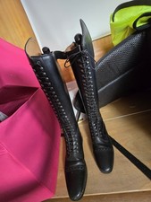 Nagelneue Steeds REITSTIEFEL