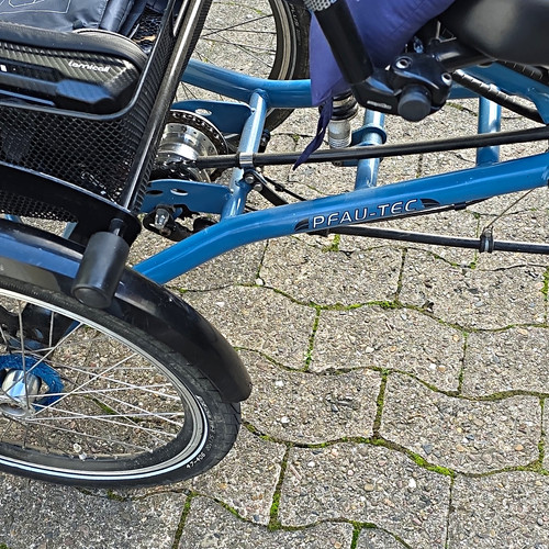 Dreirad für erwachsene - für,