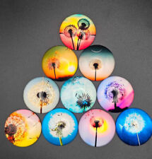 Glas Cabochon Pusteblume 10 mm