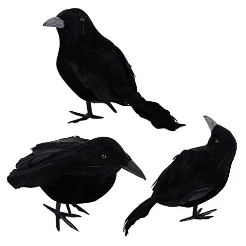 Stück halloween krähen - stück,