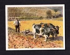 40413/ Zigarettenfabrik W. Lande Dresden – Auf deutscher Scholle – Nr. 220