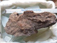 Fossiles verkieseltes Holz