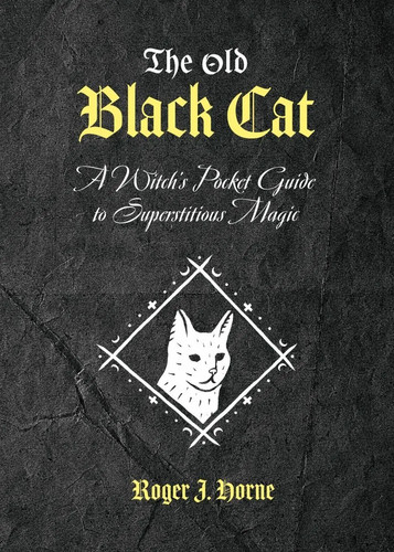 The old black cat - black, witch's