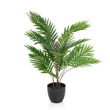 hjh OFFICE Kunstpflanze Palme Areca grün Goldfruchtpalme 70cm Kunststoff171