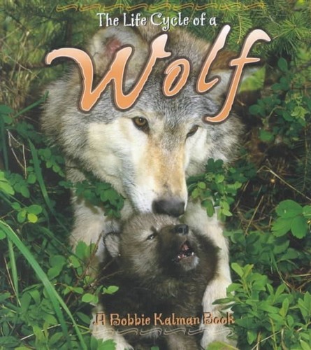 The life cycle - wolf, by