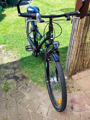 Pegasus avant junior - junior, edition