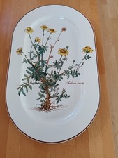 Villeroy & Boch Botanica