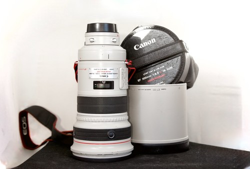 Canon 300 8 l - canon, mm