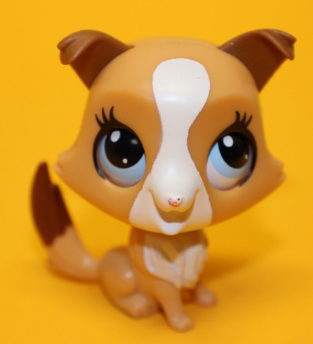 S01 littlest pet shop lps - pet,