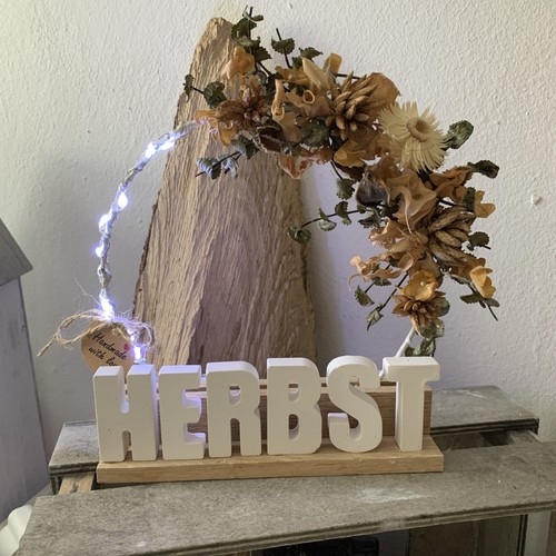 Herbst mit led - herbst,