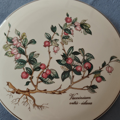 Villeroy boch - villeroy,