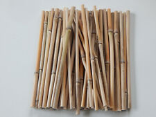 50 Bambusstäbe 24,5 cm lang, Basteln, Modellbau, Deko, Insektenhotel